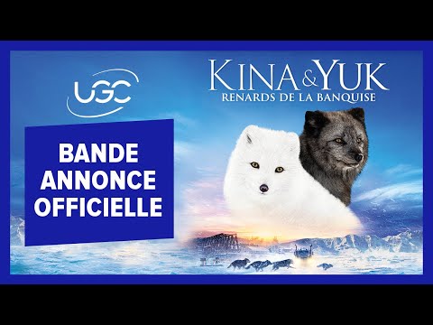 Kina & Yuk : renards de la banquise - bande annonce UGC Distribution