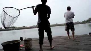 preview picture of video 'Bungsamran Fishing Park, Bangkok.2011.2.23.'