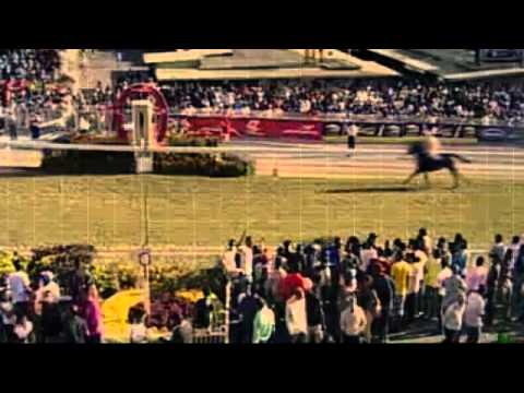 Polar Royale - The Pink Panther