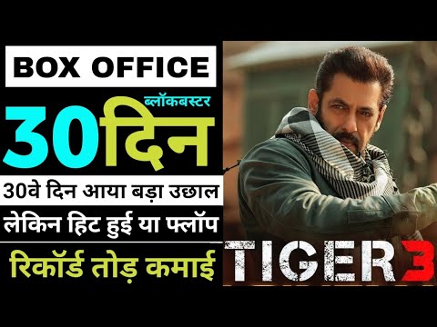 Tiger 3 Box Office Collection | Tiger 3 30th Day Box Office Collection, Tiger 3 Hit Or Flop, 