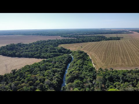 Trevo de Vera Mato Grosso