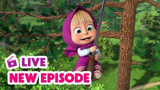 🔴 LIVE STREAM 🎬 Masha and the Bear 🆕 New Episode 🌼 Blown Away 🌂💨
