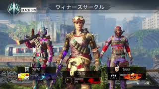 さんとなるさんのBO3実況