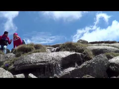 Cazare Paltinis Sibiu - Cazat.ro