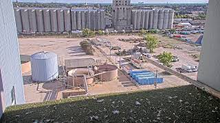 Valley Power Plant peregrine falcon camera- Milwaukee, WI