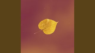 Autumn Music Video