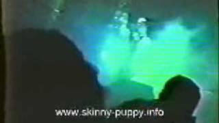 SKINNY PUPPY ~ DOGSHIT (1988)