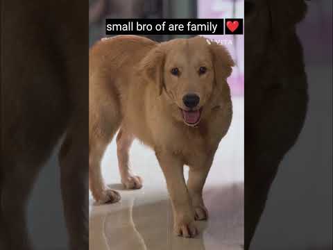 subscribe please 🥺😭