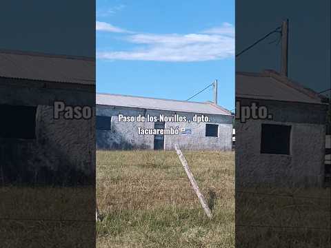 Paso de los Novillos , departamento de Tacuarembó , Uruguay , videitos cultura uruguaya 🇺🇾 .