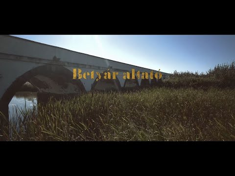 Dalriada: Betyár-altató (Official Music Video)