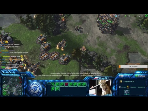 SC2 BratOK Вечерний ~.~  Q(._.Q)