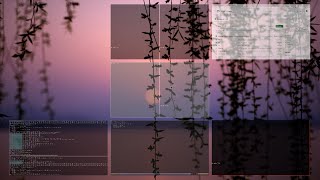 Skippy-xd and tiling managers