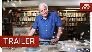 Attenborough and the Giant Elephant (2017) Video