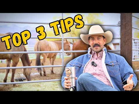 Buying a MULE? Watch This FIRST!!!
