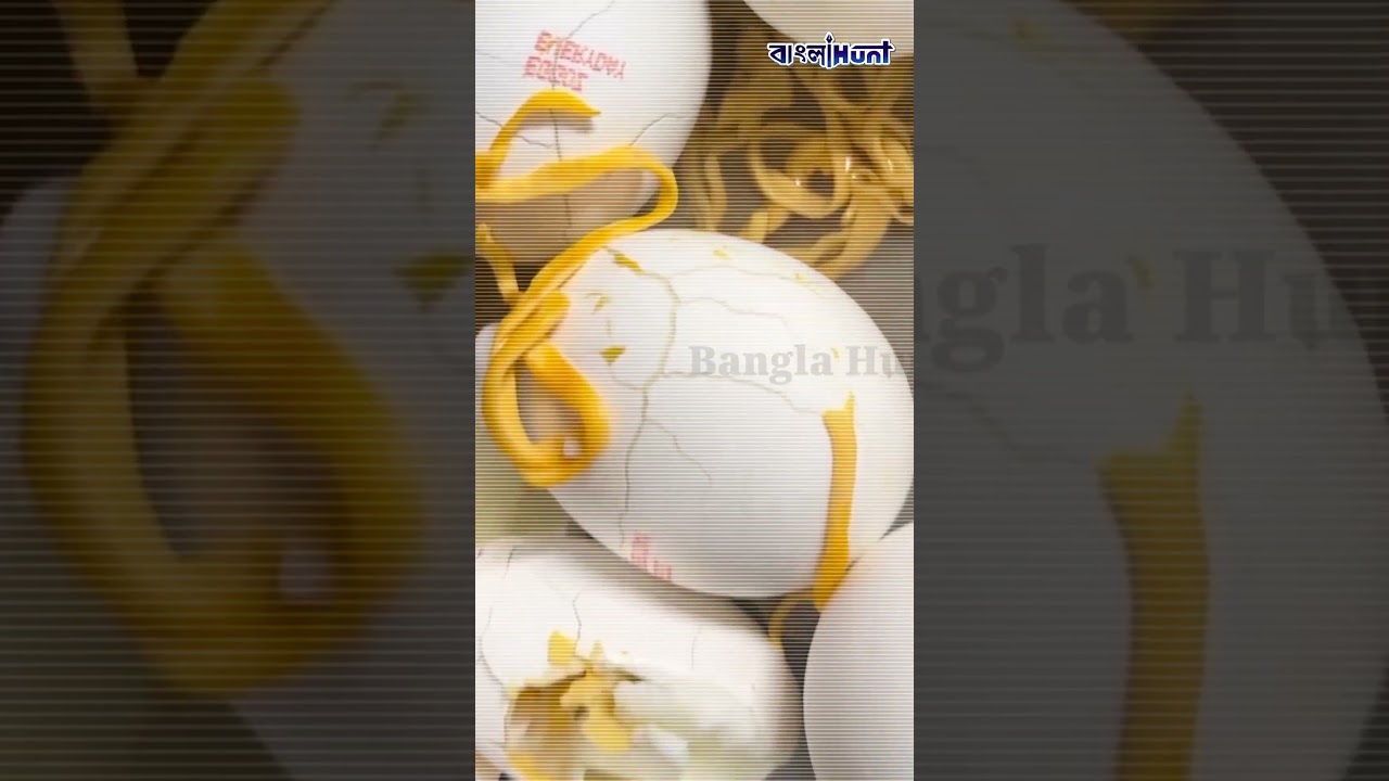 কুসুমের পরিবর্তে বেরিয়ে এল প্লাস্টিক? নকল ডিম বিক্রি হচ্ছে বাজারে?  #PlasticEggs #banglahunt