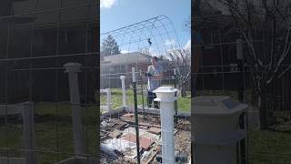 #shorts  Cattle Panel for garden trellis