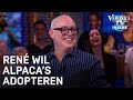 René wil alpaca's adopteren: 'Lekker man' | VERONICA INSIDE