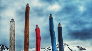 SOMETHING TAMED SOMETHING WILD - Mary Chapin Carpenter