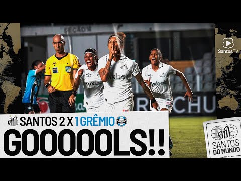 SANTOS 2 X 1 GRÊMIO | GOLS | BRASILEIRÃO (25/04/22)