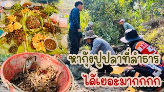 เรื่องราวชีวิตบนดอยกับพิมฮารุ EP.6 หากุ้งปูปลาที่ลำธาร ทำอาหารกินที่กระท่อม อร่อยมาก