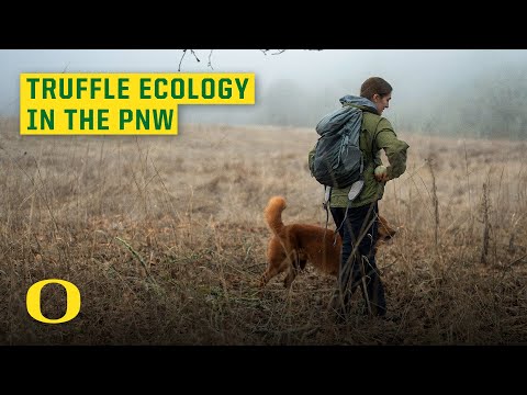 University of Oregon