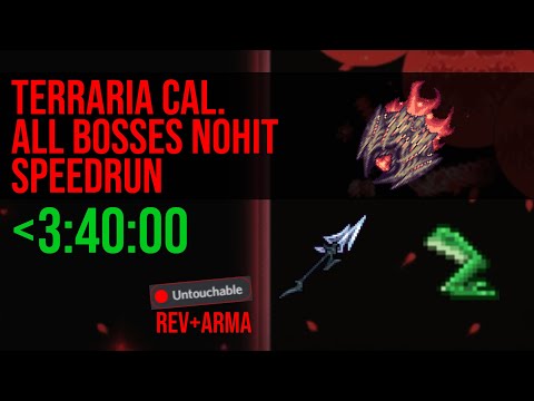 Terraria Speedrun [Calamity Rev] All Bosses Nohit in Under 4 Hours