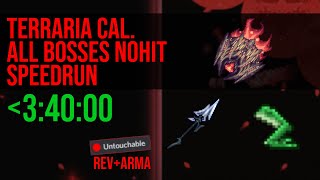 Terraria Speedrun [Calamity Rev] All Bosses Nohit in Under 4 Hours