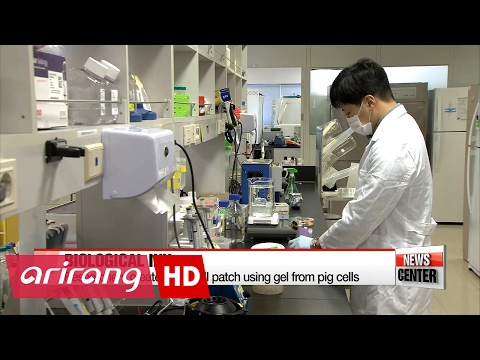韓國研究人員為心臟病患者開發3D打印幹細胞貼片 (Korean researchers develop 3D-printed stem cell patch for heart patients)