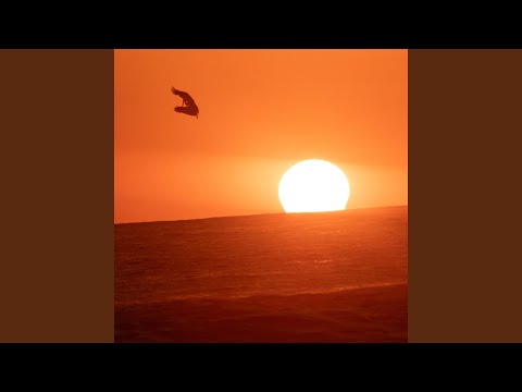 Charge of the Light Brigade