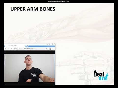 How to Sign Backbone in BSL