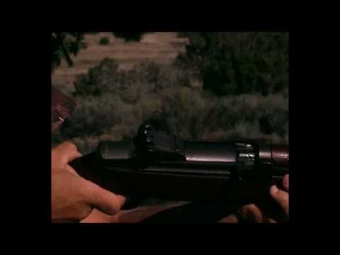 Slow Motion: M1 Garand