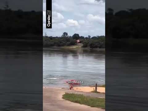 Carreta cai no Rio Tocantins e motorista observa desolado; veículo aguardava a chegada de uma balsa