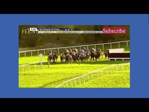 Cheltenham Festival 2020 Champion Bumper Grade 1 Standard Open NH Flat Race Winner FERNY