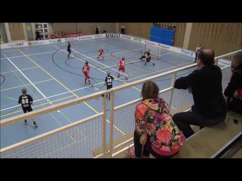 SUDET D03 pun-JOSBA  21.01.2017 1erä