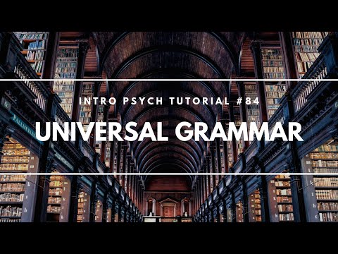 Language Acquisition Skinner vs Chomsky Intro Psych Tutorial 82