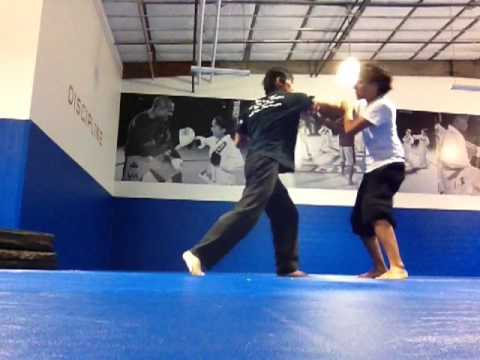 download lagu mp3 mp4 Fighting Wolf Martial Arts, download lagu Fighting Wolf Martial Arts gratis, unduh video klip Fighting Wolf Martial Arts