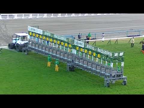 ２０１７年エリザベス女王杯　現地映像