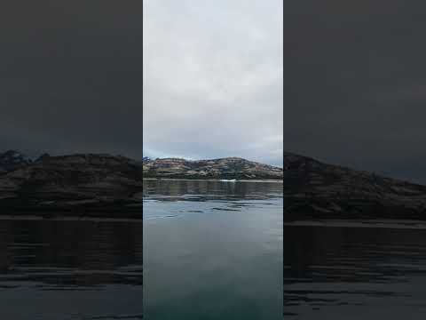 Nukaaraq kristensen, Aneqqusaanngilaq.