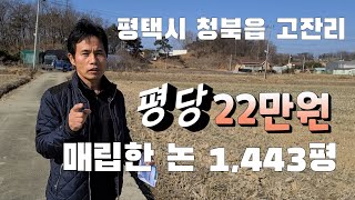 평택시 청북읍 매립한논 1,443평  땅매매 ,, 귀농귀촌