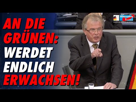An die Grünen: Werdet endlich erwachsen! - Udo Hemmelgarn - AfD-Fraktion im Bundestag