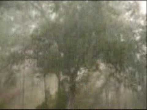 Dont Let The Rain Fall Down On Me - Critters