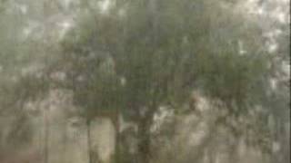 The Critters-Don't Let The Rain Fall Down On Me