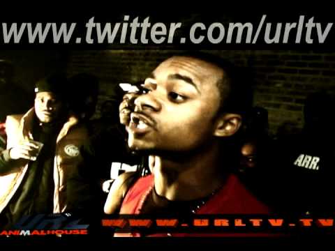 Qleen Paper vs Artic