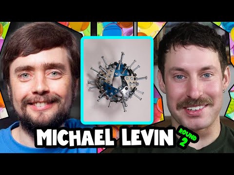 What Are Anthrobots? | Michael Levin