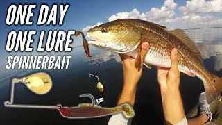 one day one lure 3 - redfish magic spinnerbait