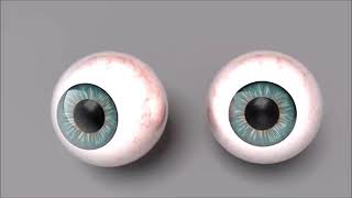 one long pair of eyes -  robyn hitchcock cover by the kevin macdonald band