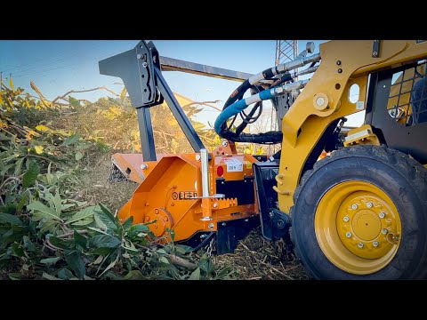 Recensione Trincia BERTI KX/SSL 170 distrugge tutto!!!