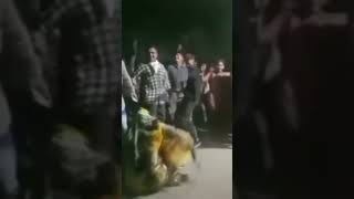 Download lagu Vikram Chauhan Bapu Don Chapter 2 new timli song dance mp3 Download lagu Vikram Chauhan Bapu Don Chapter 2 new timli song dance mp3