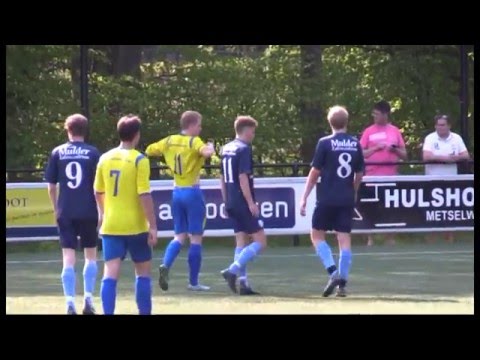 Samenvatting HattoHeim - Hardenberg 85
