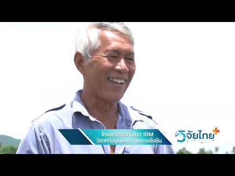 ตอนที่ 49